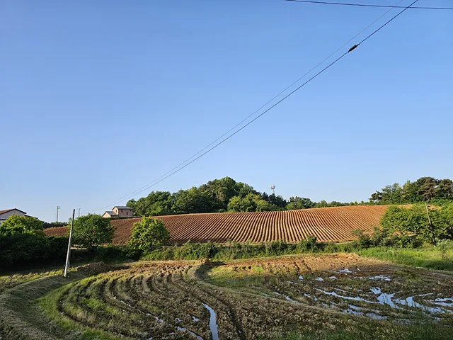 물이 차오르고 푸릇해지는 5월
